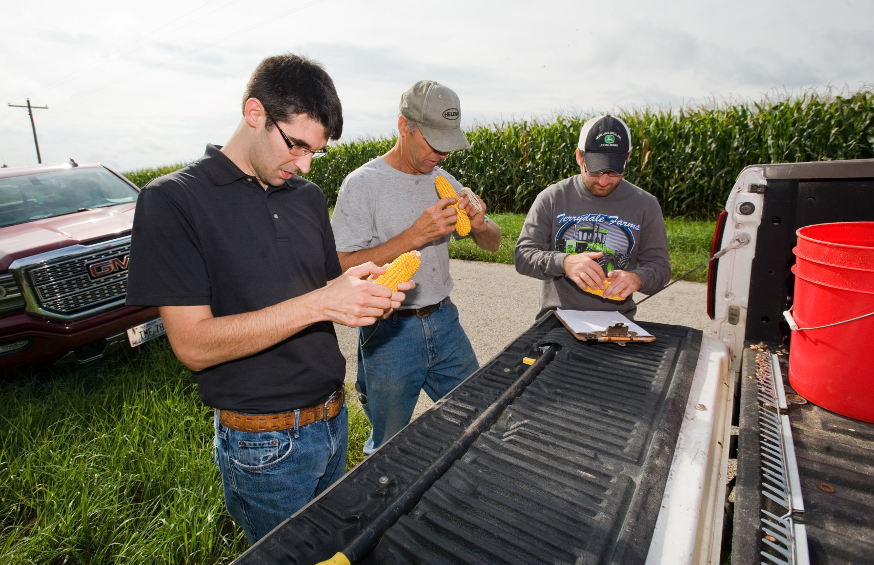 Yield Survey 08/17/18